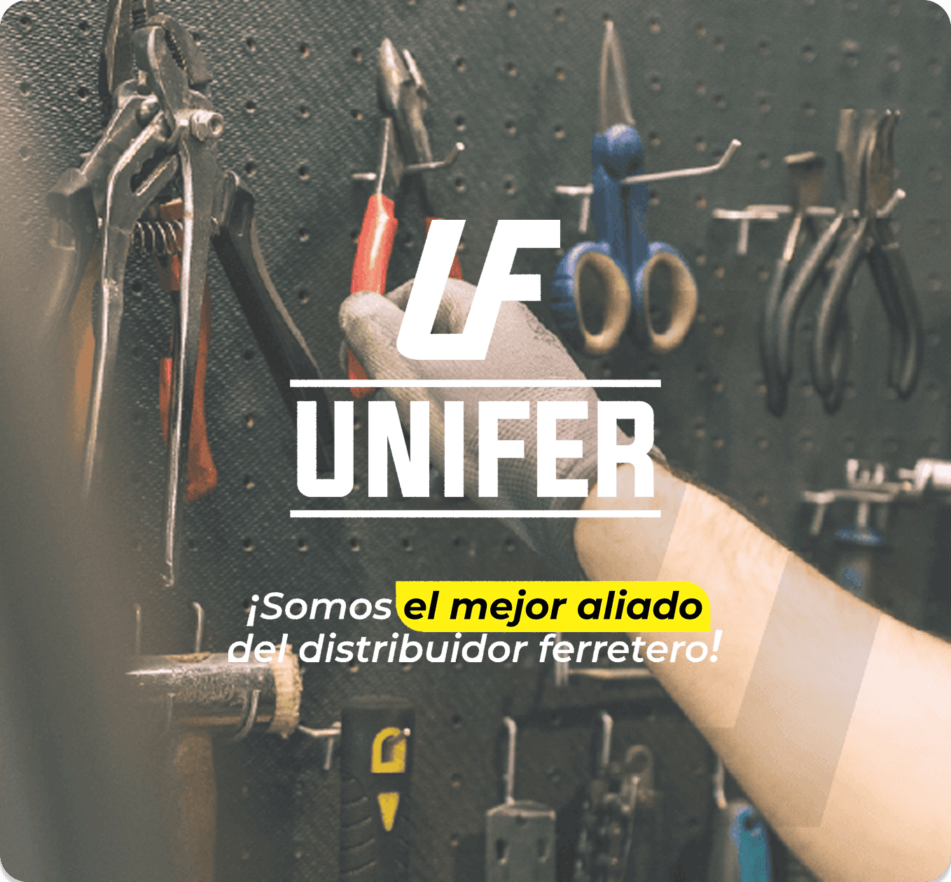 Imagen de fondo de login